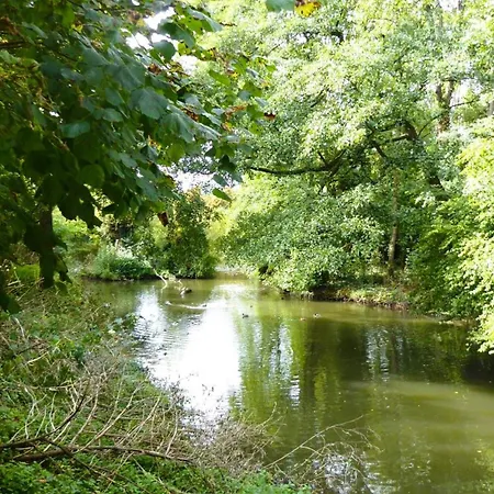 Apartment Villa, 26, Dz